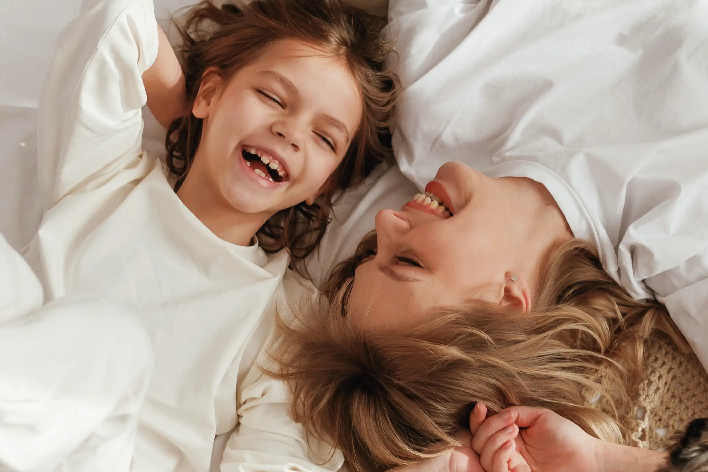 Proyecto mustela grid image