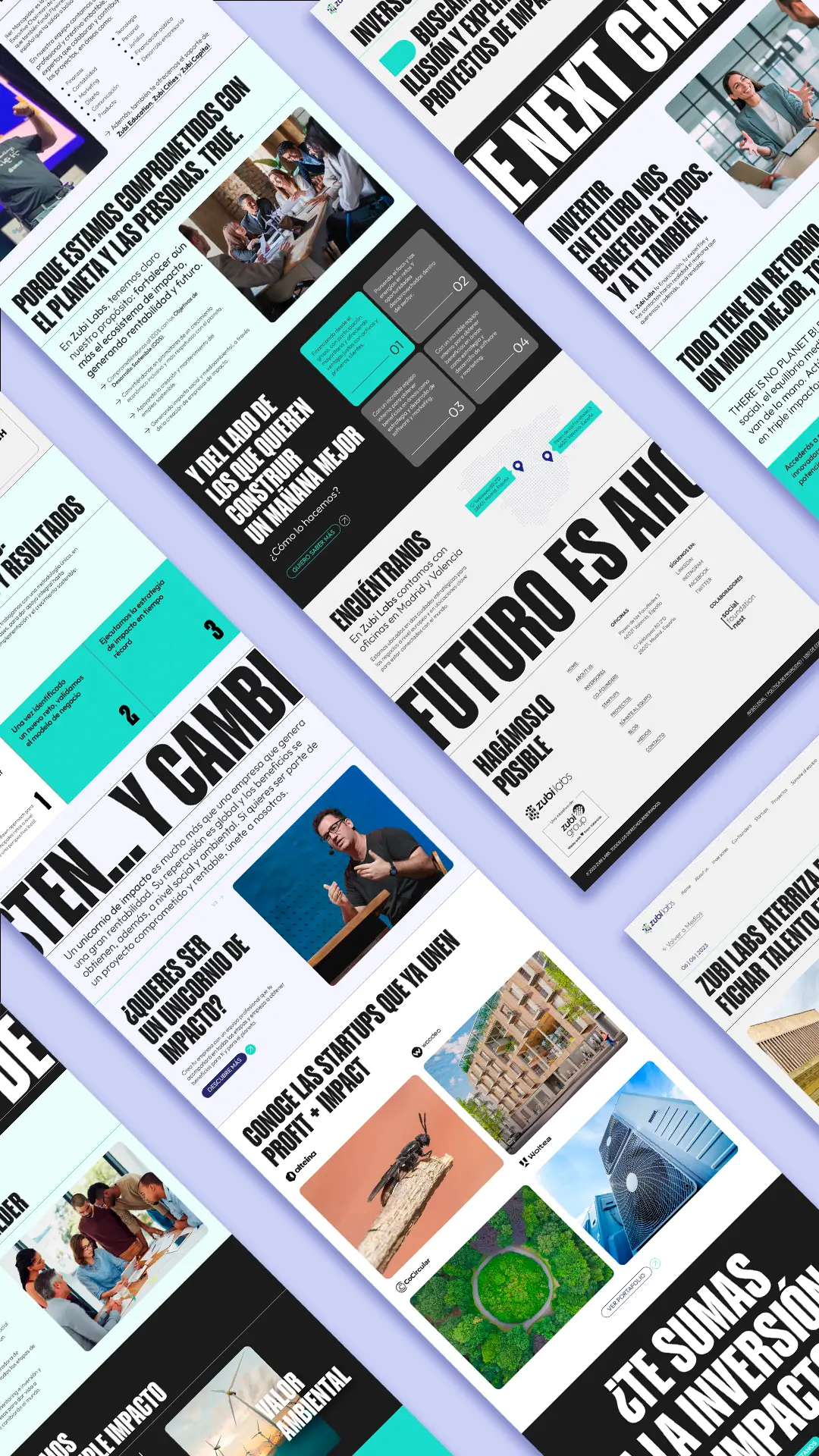 Proyecto zubi labs imagen destacada