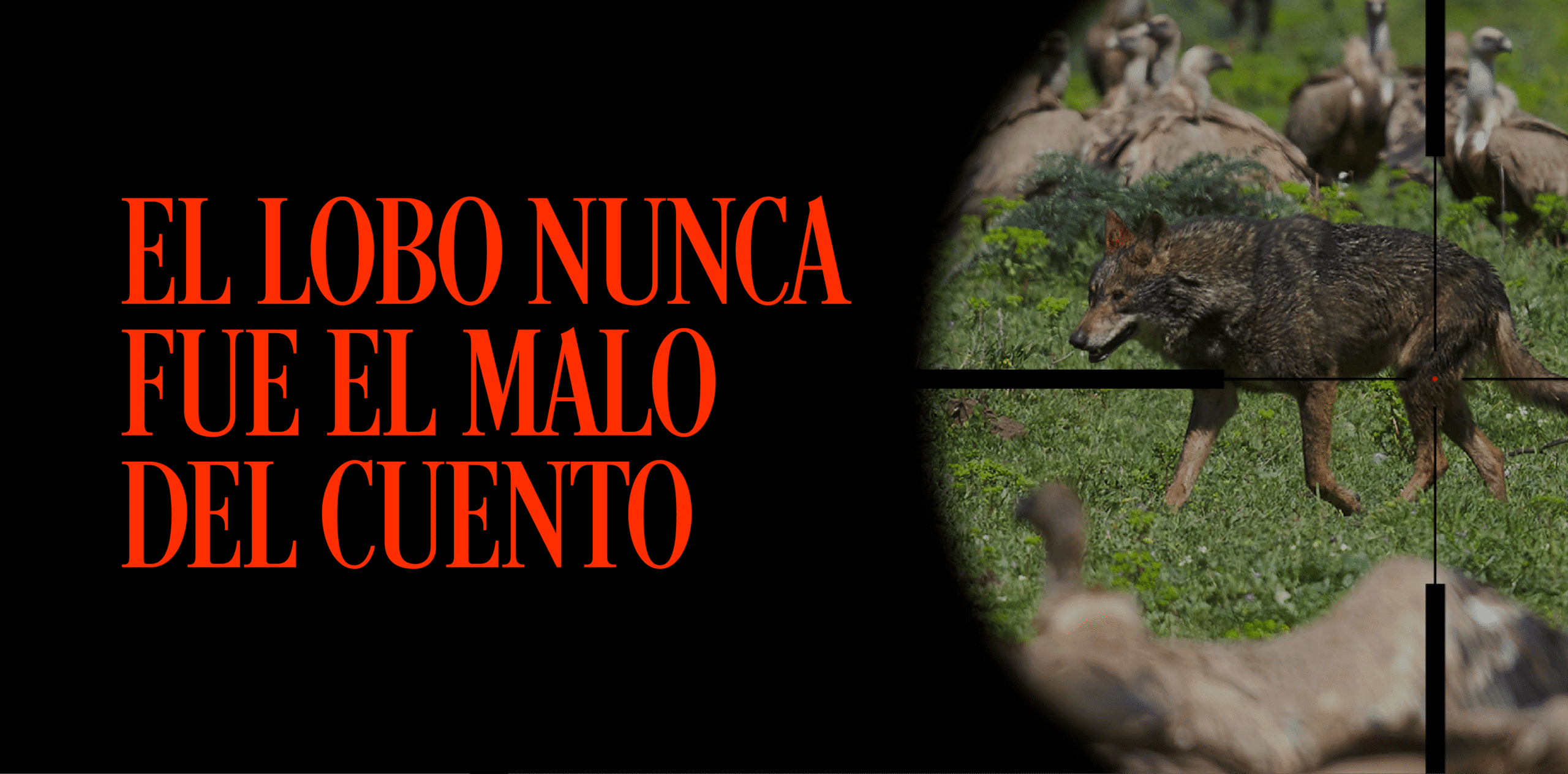 Portadas proyectos texto lobo scaled