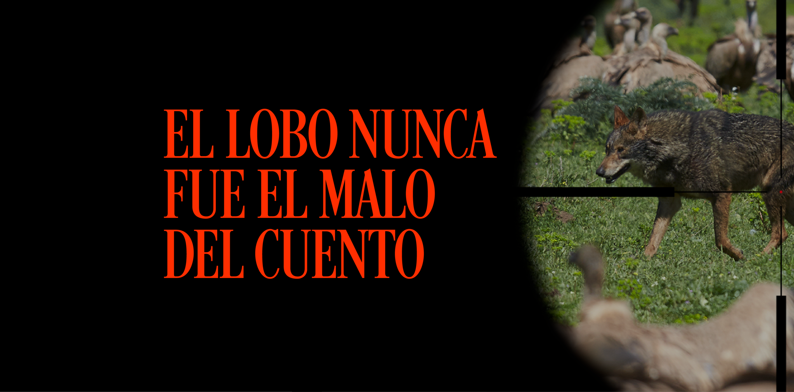 Portadas proyectos texto lobo scaled