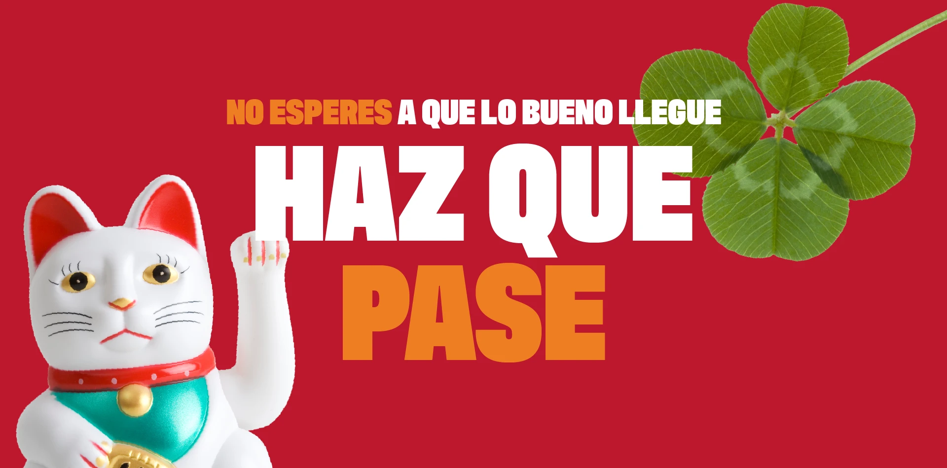 Web rp proyectos xsolidaria header