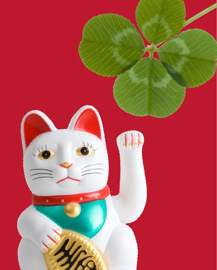 Web rp proyectos xsolidaria img landing